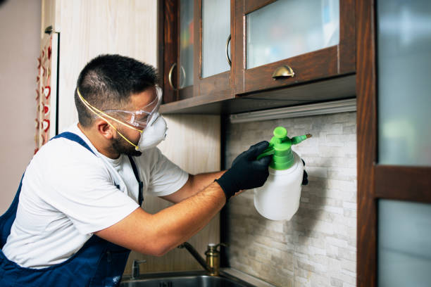 Reliable Carey, OH Pest Control Solutions