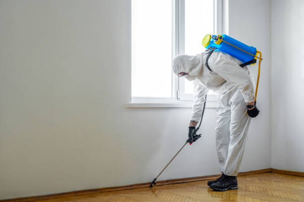 Best Pest Control for Restaurants  in Carey, OH
