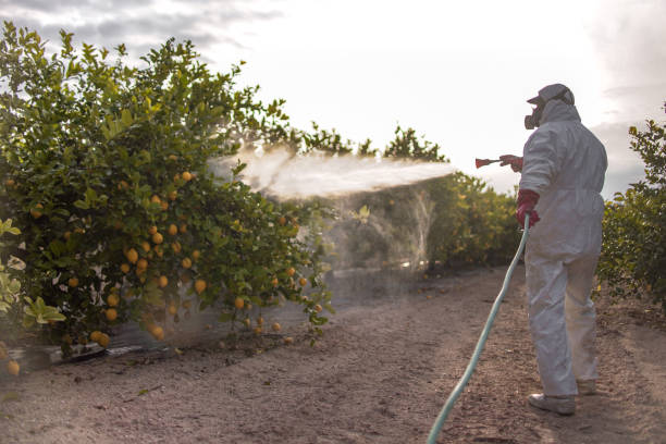 Best Pest Control for Homes  in Carey, OH