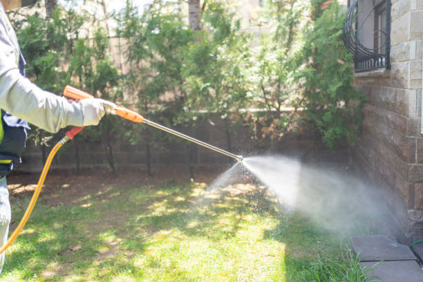 Best Best Pest Control Companies  in Carey, OH