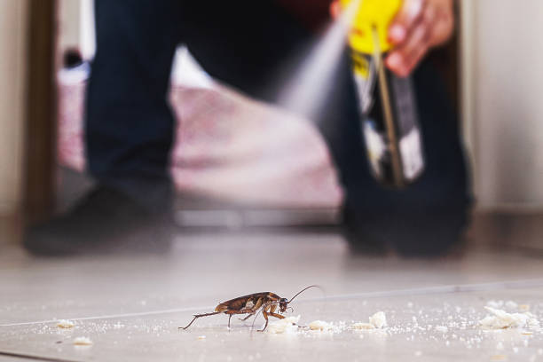 Best Affordable Pest Control Services  in Carey, OH