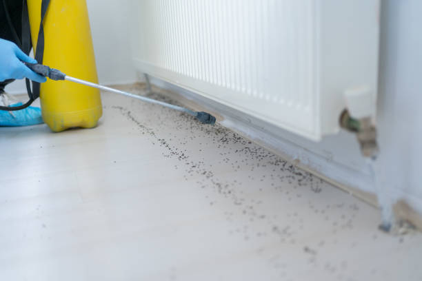 Best Bed Bug Extermination  in Carey, OH