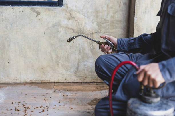 Best Pest Inspection Near Me  in Carey, OH