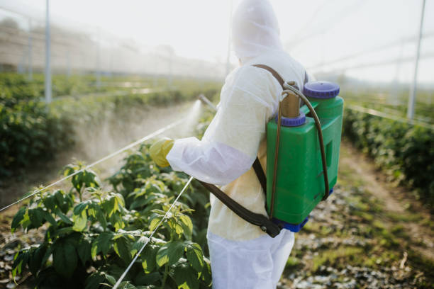 Best Pest Prevention Services  in Carey, OH